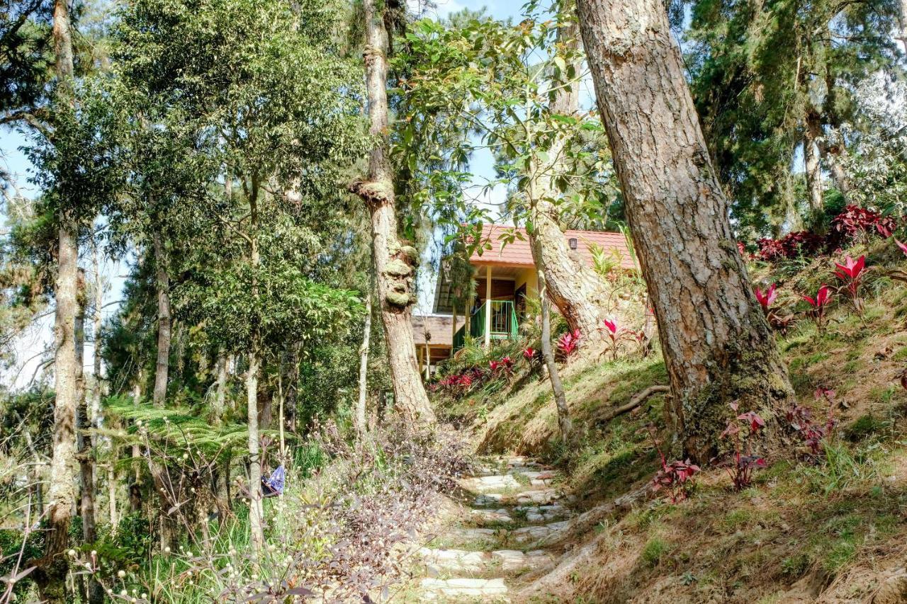 OYO 1175 Oemah Djowo Resort Magetan Zewnętrze zdjęcie